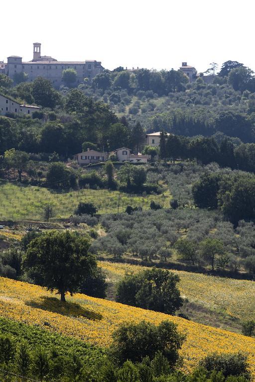 Agriturismo Il Girasole Montefalco Exteriér fotografie