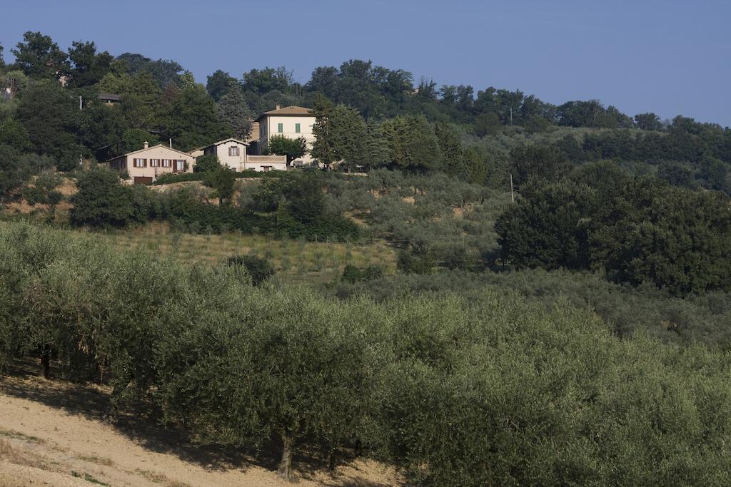 Agriturismo Il Girasole Montefalco Exteriér fotografie