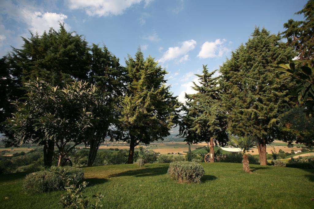 Agriturismo Il Girasole Montefalco Pokoj fotografie
