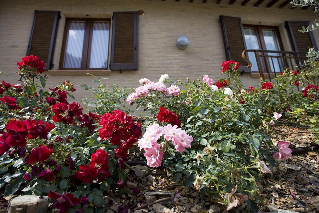 Agriturismo Il Girasole Montefalco Pokoj fotografie