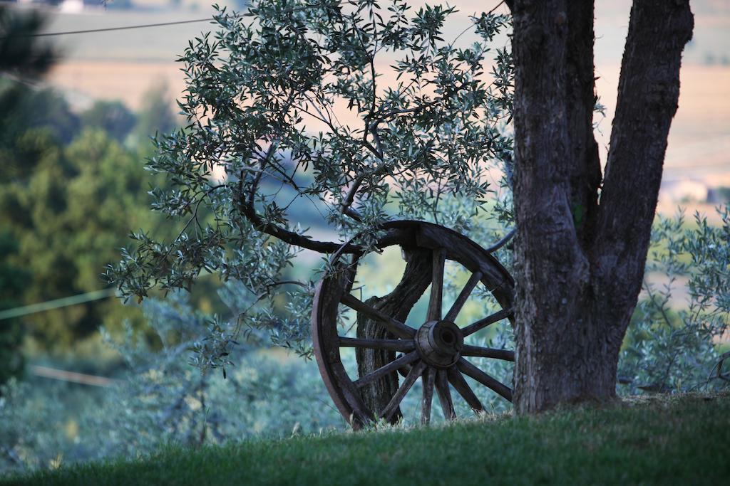 Agriturismo Il Girasole Montefalco Exteriér fotografie