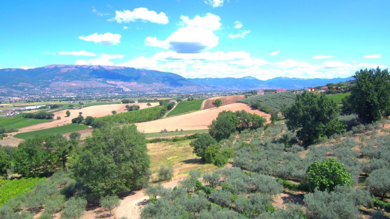 Agriturismo Il Girasole Montefalco Exteriér fotografie
